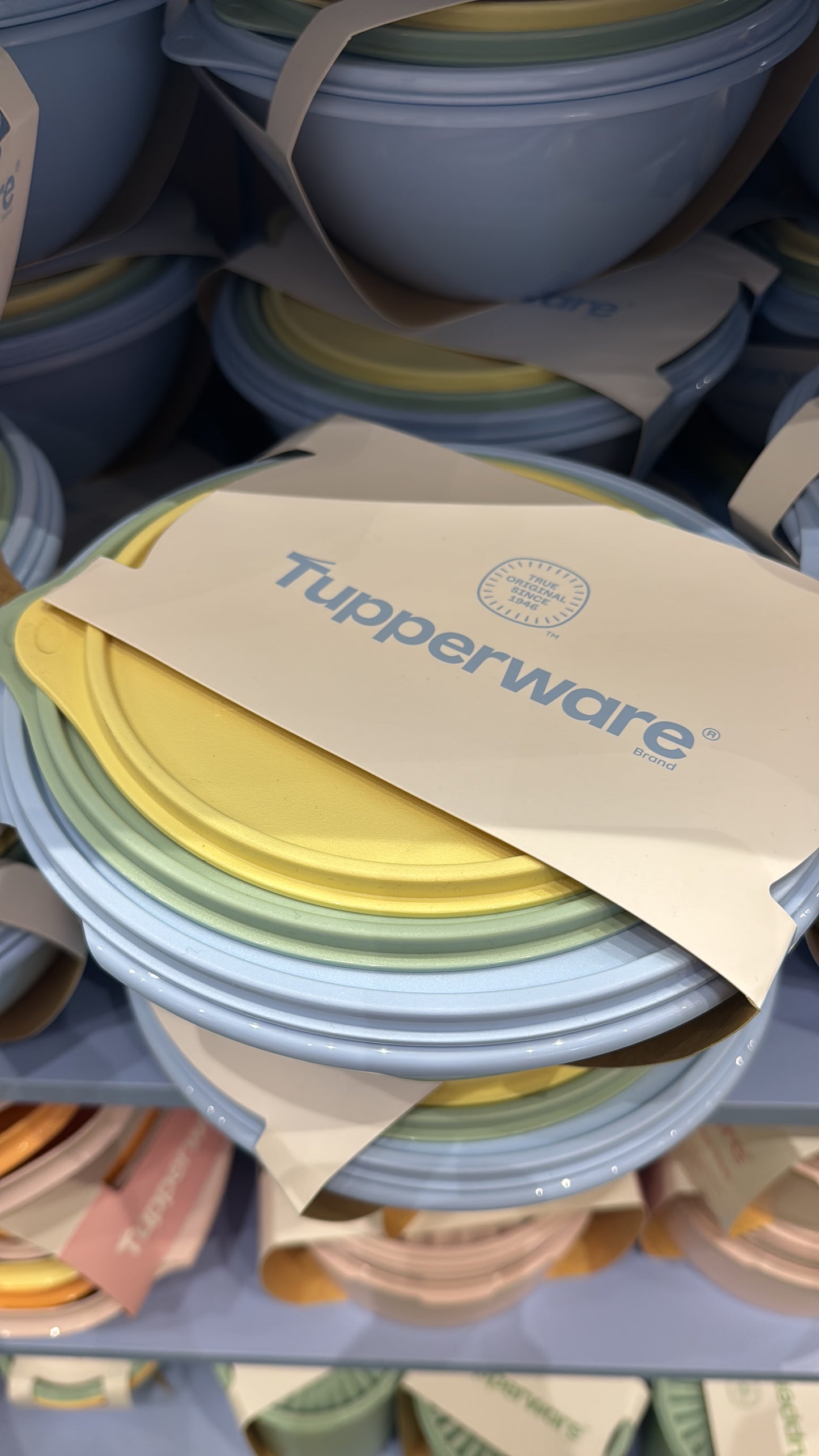 Assorted Servalier bowl set of 3 (Instock)