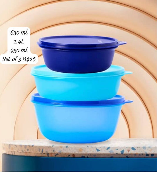 Modular Bowl 630 ml, 1.4L, 950 ml Set of 3 (Instock)