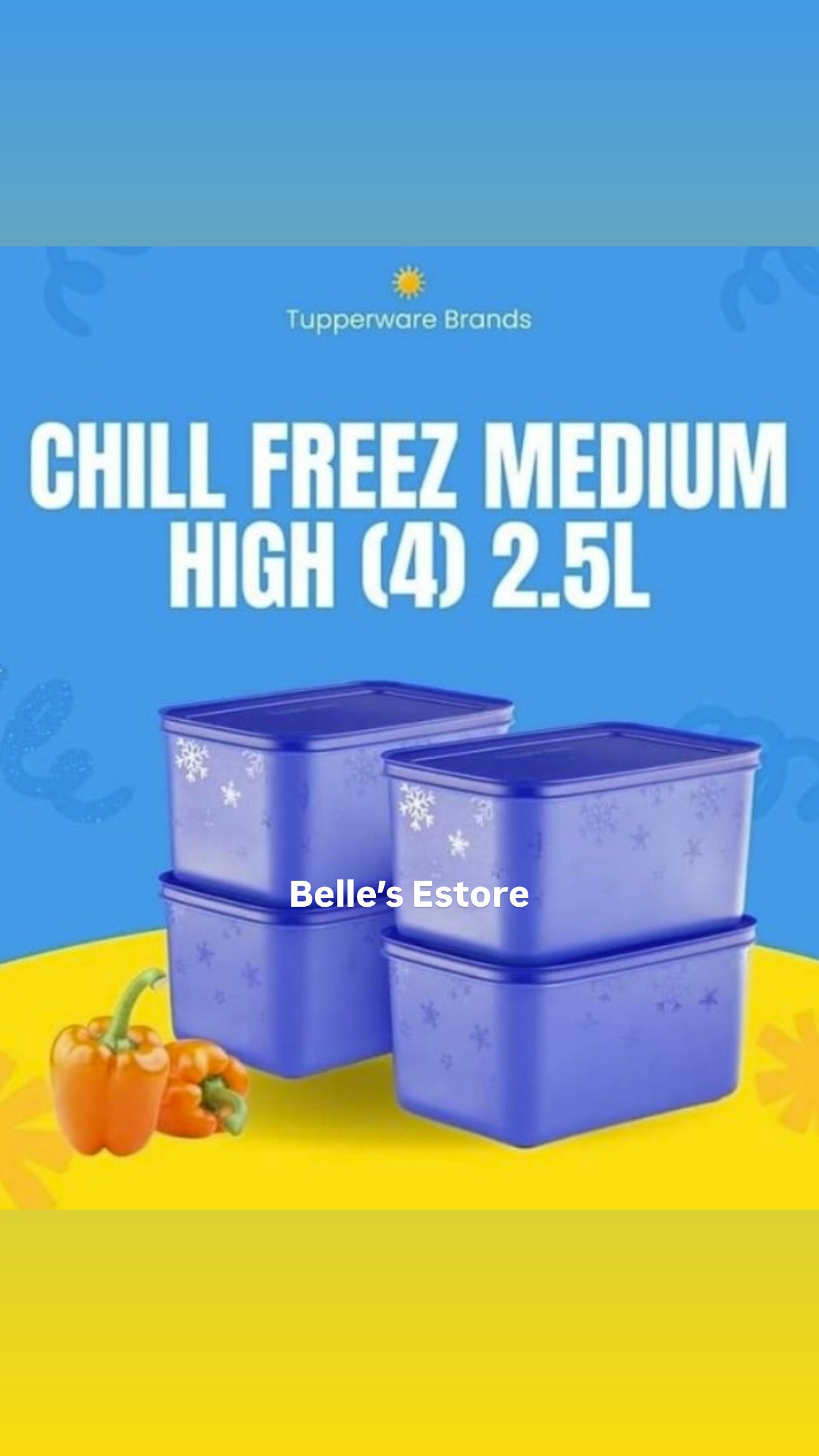 Chill Freez 2.5L set of 4 (Instock)