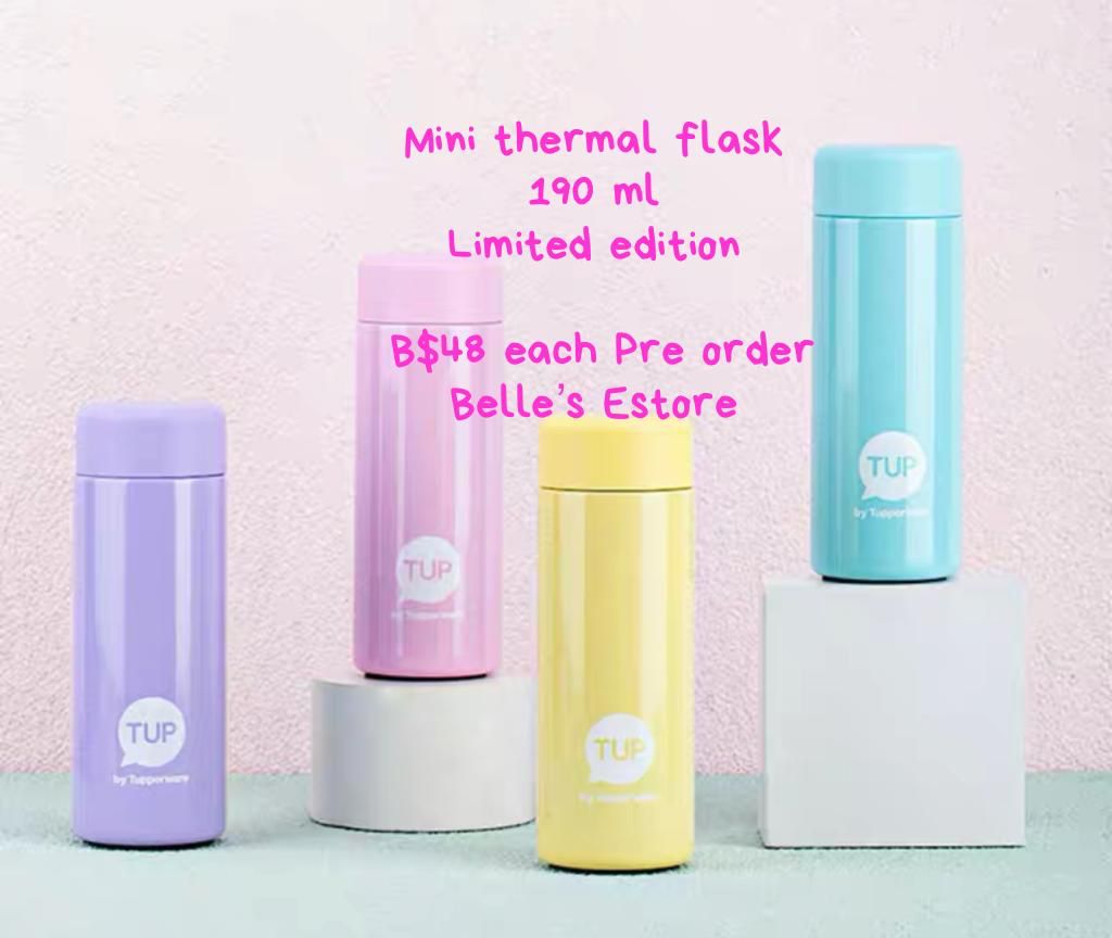 Thermal Mini Flask (Pre-Order) – Belle's Estore