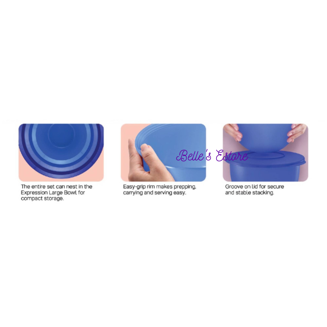 1.3L Blue Expression Bowl Set of 3 (Instock)