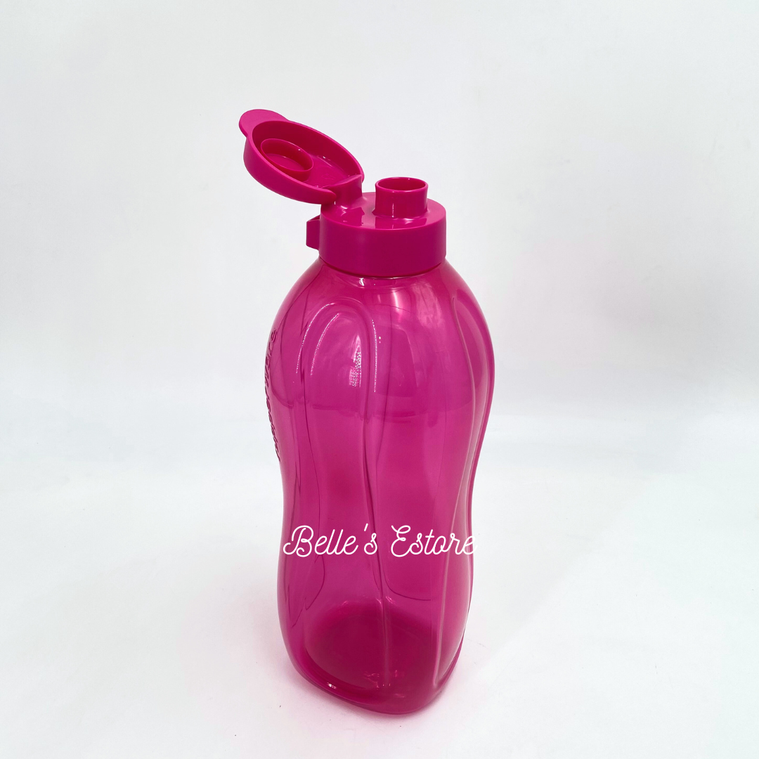 Giant Eco Bottle 2L with/without Handle (Instock)