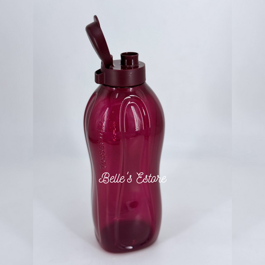 Giant Eco Bottle 2L with/without Handle (Instock)