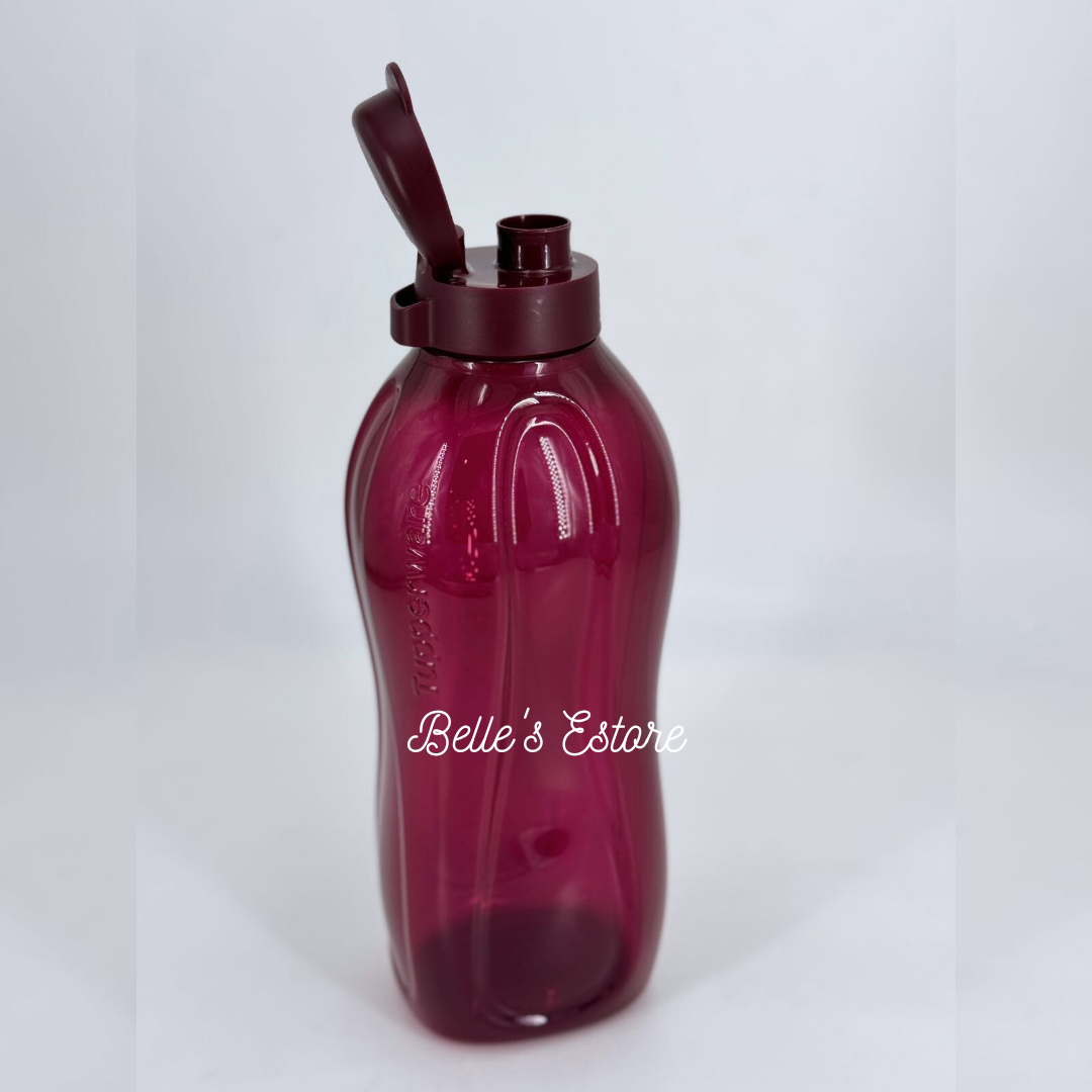 Giant Eco Bottle 2L with/without Handle (Instock)