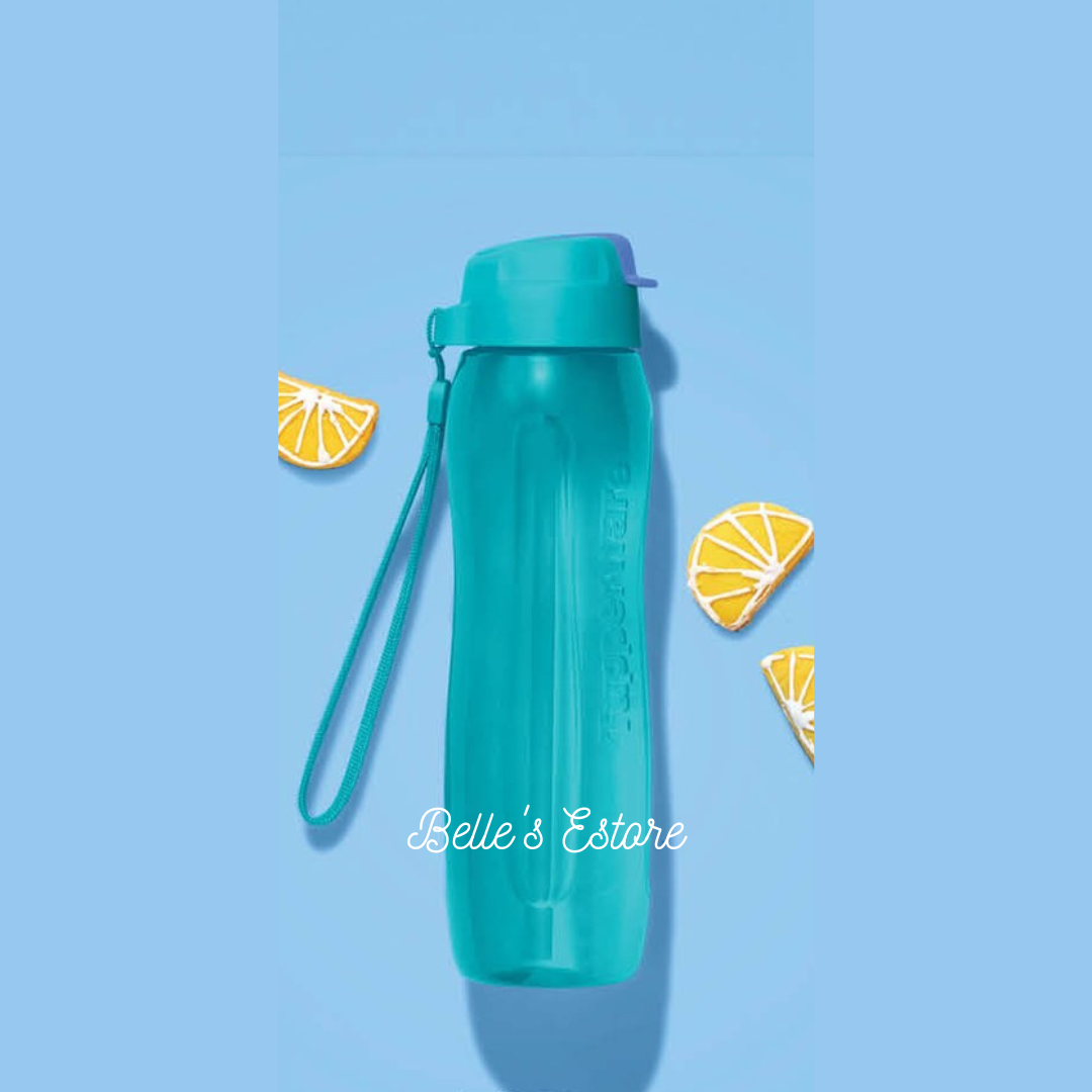 Eco Bottle 750ml with Straw (Instock)