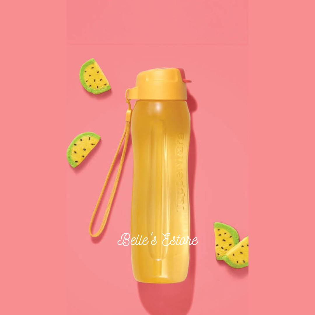 Eco Bottle 750ml with Straw (Instock)