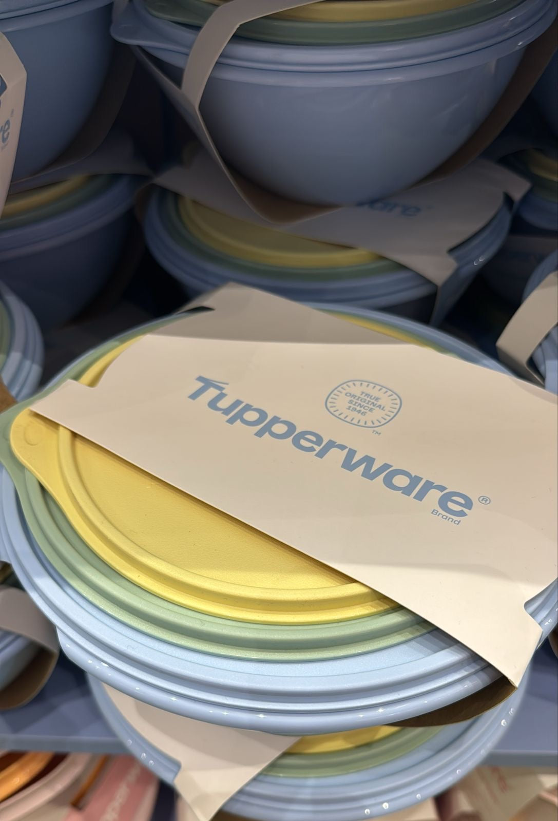 Assorted Servalier bowl set of 3 (Instock)