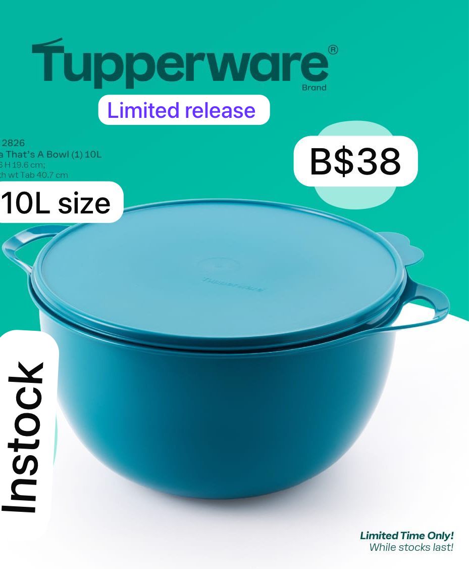 Mega Thats a Bowl 10L (Instock)