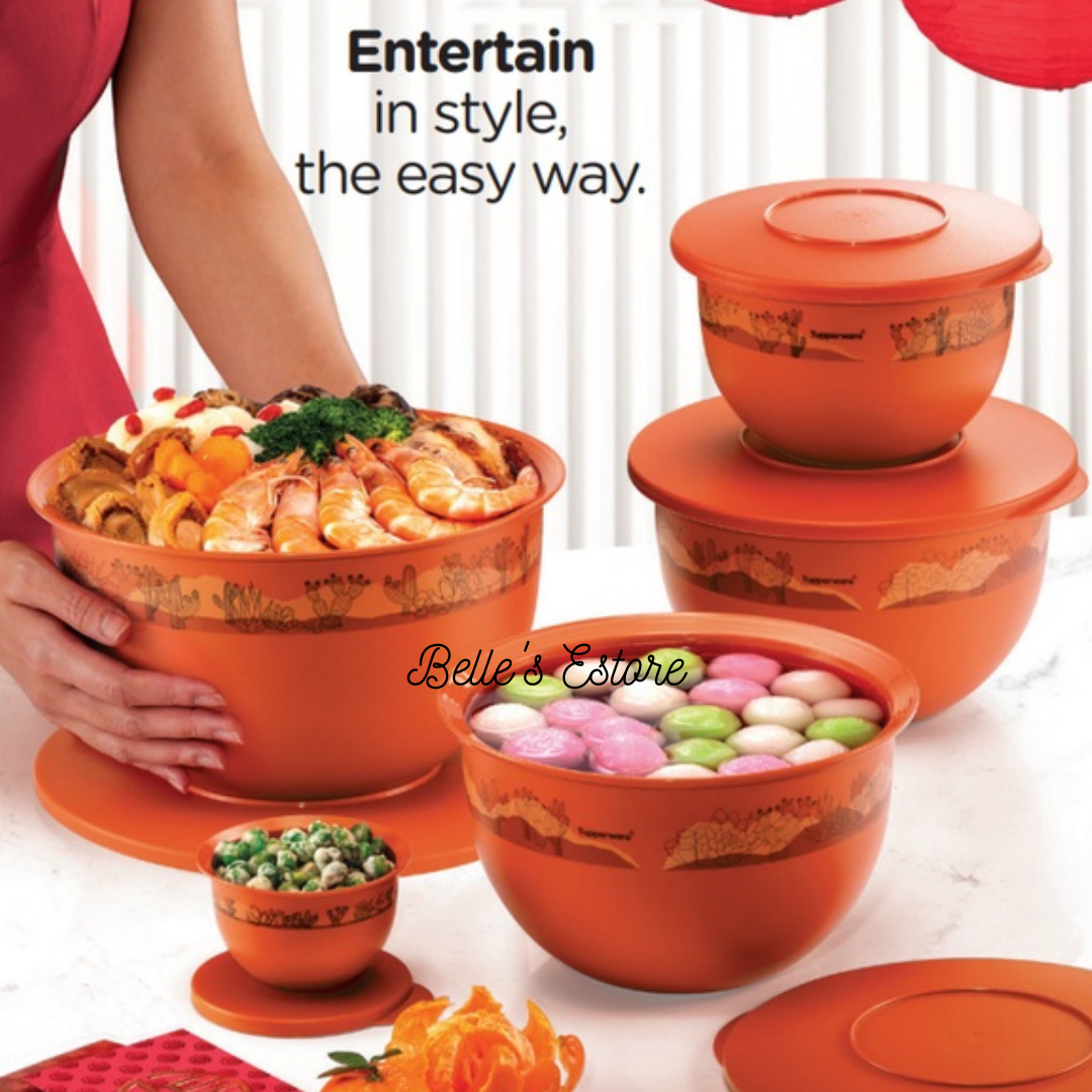 Expression Bowl Orange Set of 3 (Instock)