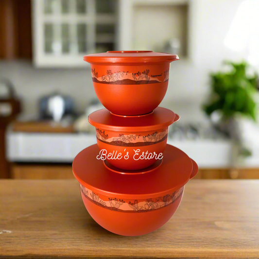 Expression Bowl Orange Set of 3 (Instock)