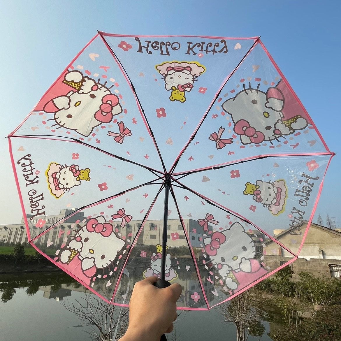 Auto Foldable Transparent Character Umbrella (Pre Order)