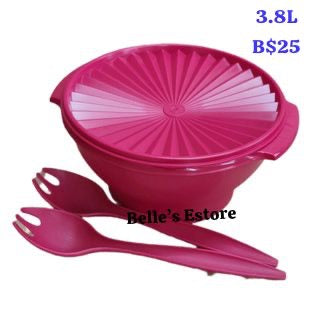 Salad bowl with fork set (Instock)