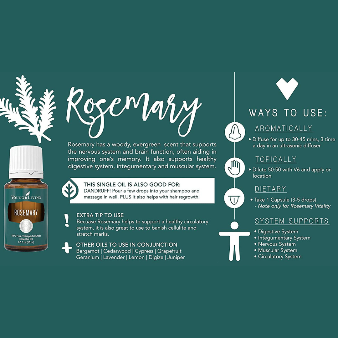 Rosemary Essential Oil 15 ml (Instock)