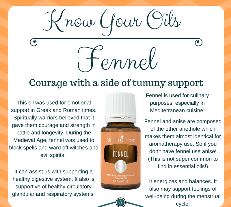 Fennel Essential Oil 15 ml (Instock)