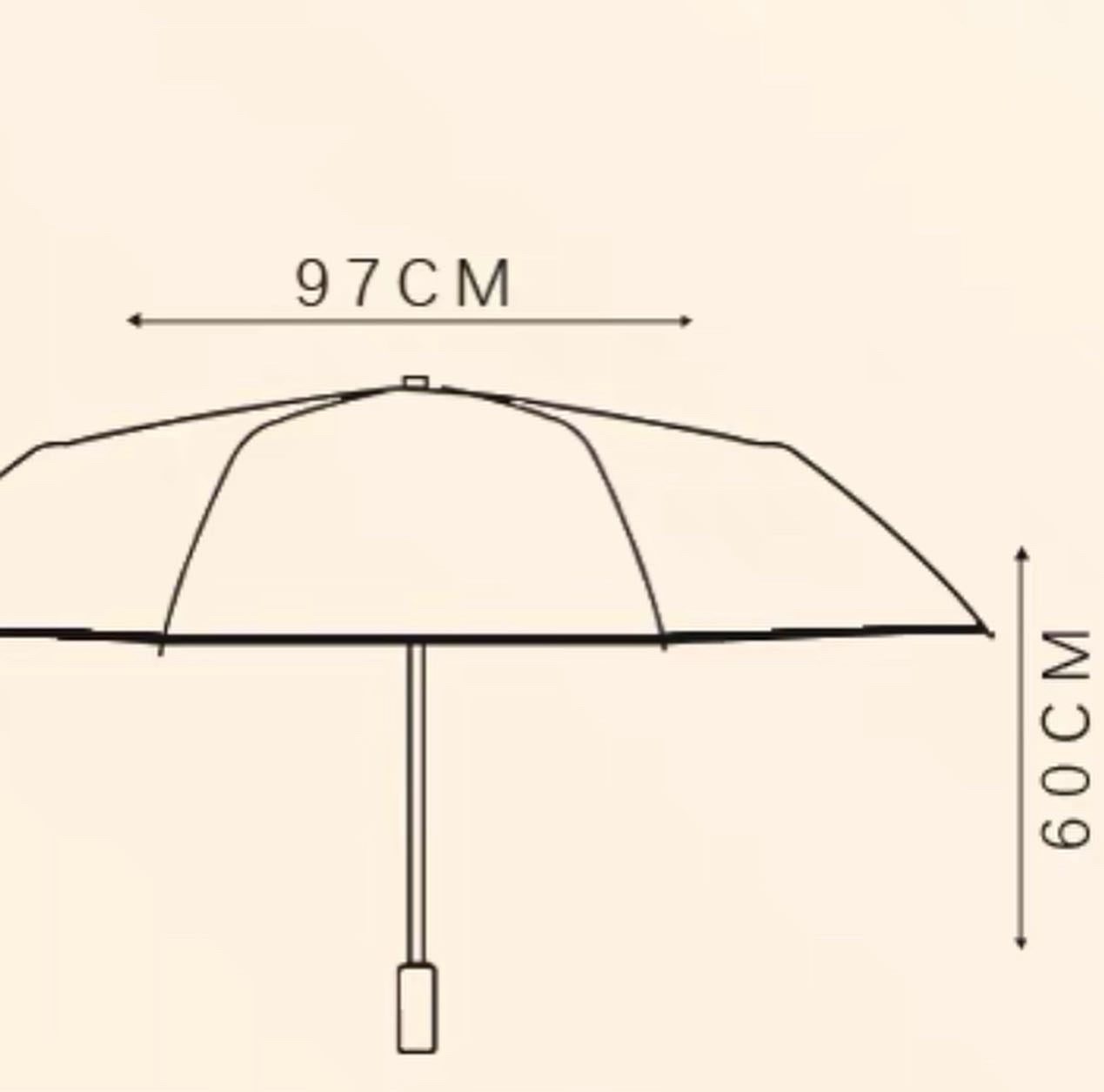 Auto Foldable Umbrella (Pre Order)