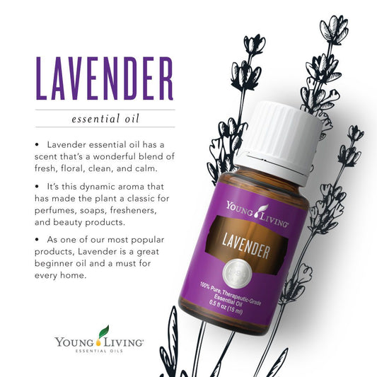 Lavender Essential Oil 15ml (Instock)