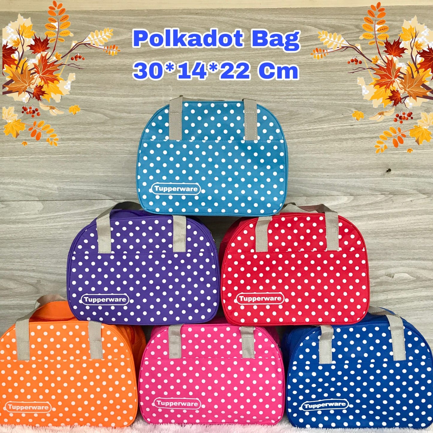 Polka Dot Bag (Pre-order)