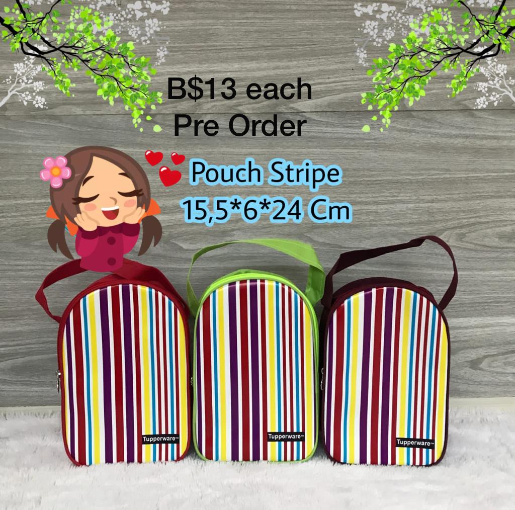 Pouch Stripe Bag (pre-order)