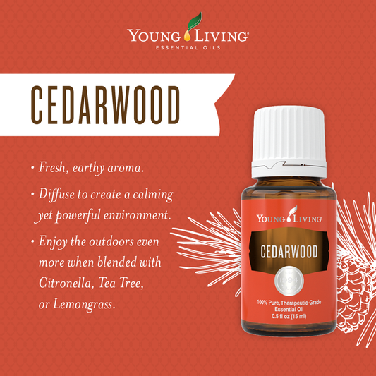 Cedarwood Essential Oil 15 ml (Instock)