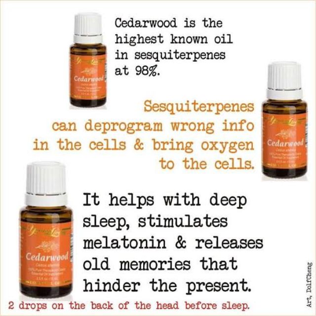 Cedarwood Essential Oil 15 ml (Instock)