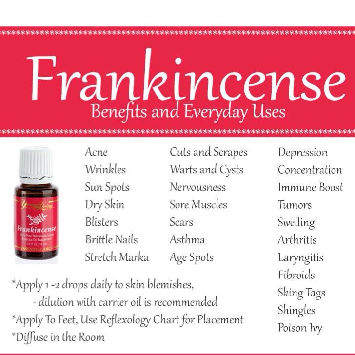 Frankincense Essential Oil 5ml or 15ml (Instock)