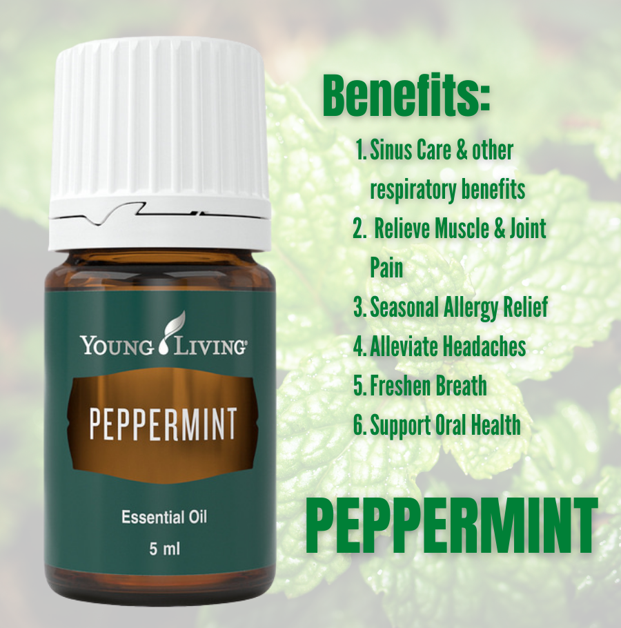 Peppermint Essential Oil 15 ml (Instock)