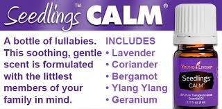 Seedling Calm Essential Oil 5ml (Instock)